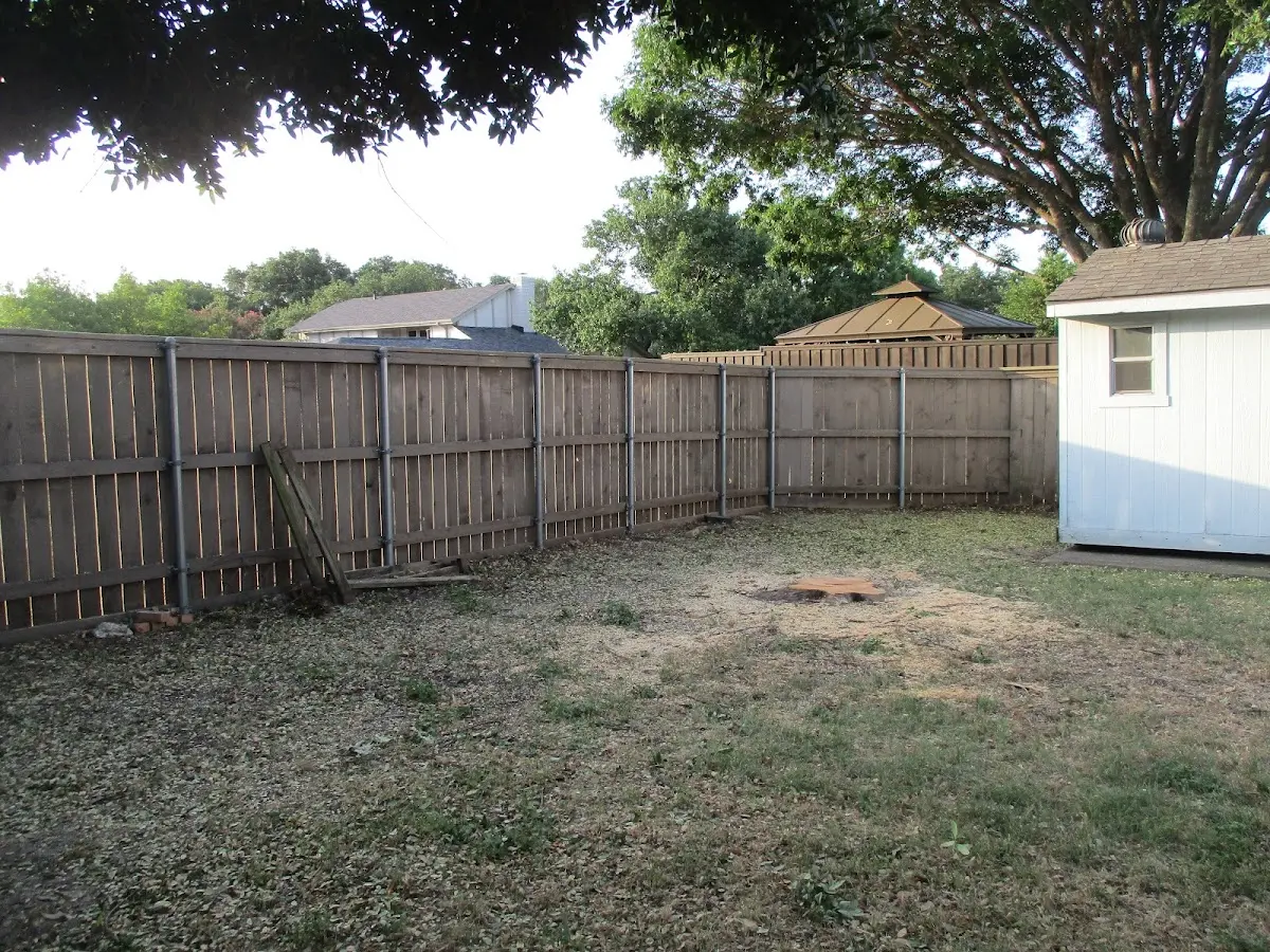 Cleared yard after professional tree removal in Paynes Creek